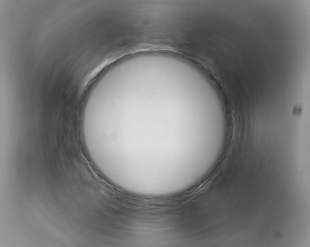 X0000113121165200908281035