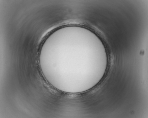 X0000113121166200908281035