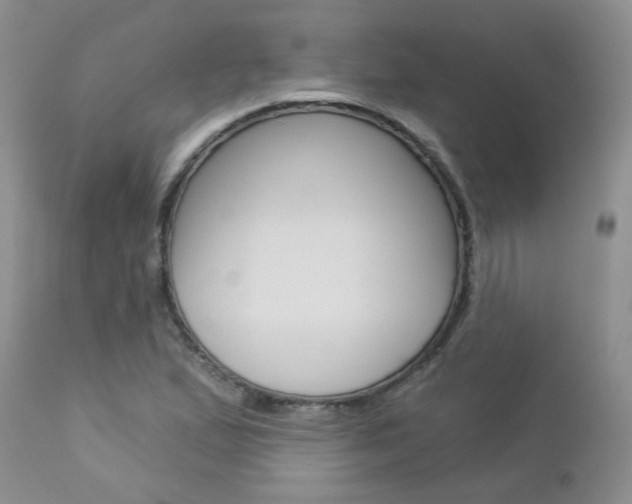 X0000113121167200908281035
