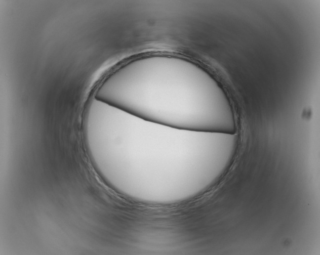 X0000113121168200908281035