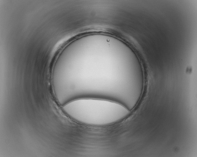 X0000113121172200908281035