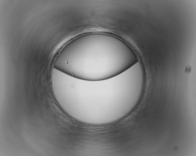 X0000113121173200908281035