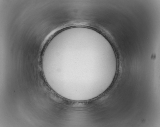 X0000113121174200908281035