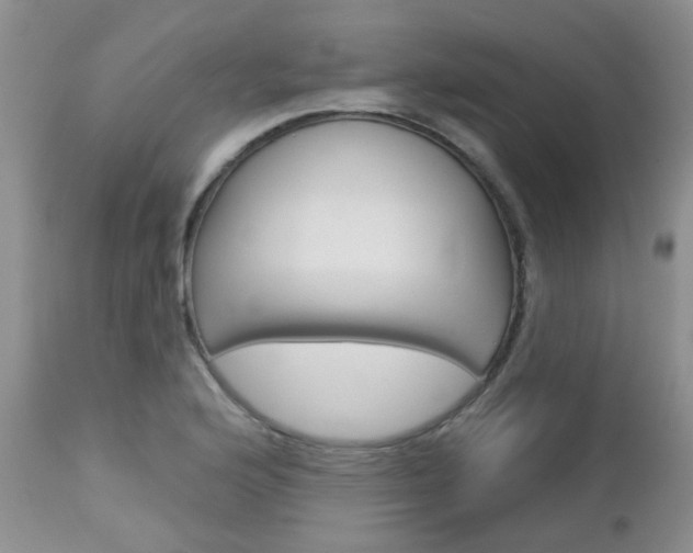 X0000113121176200908281035