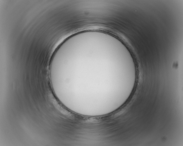 X0000113121178200908281035
