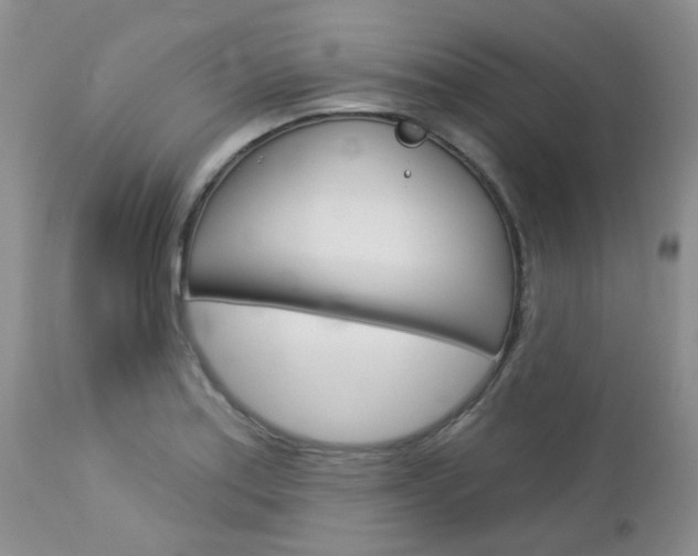 X0000113121179200908281035