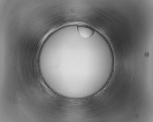 X0000113121181200908281035