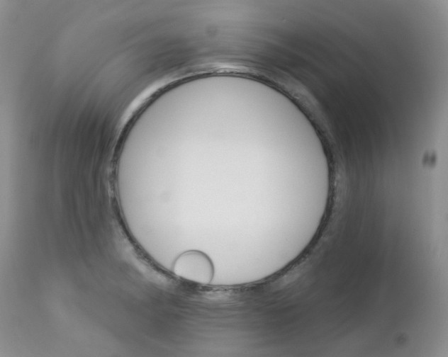 X0000113121182200908281035