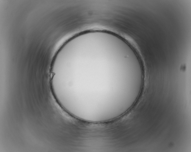 X0000113121183200908281035