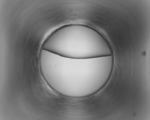 X0000113121184200908281035