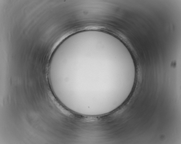 X0000113121186200908281035