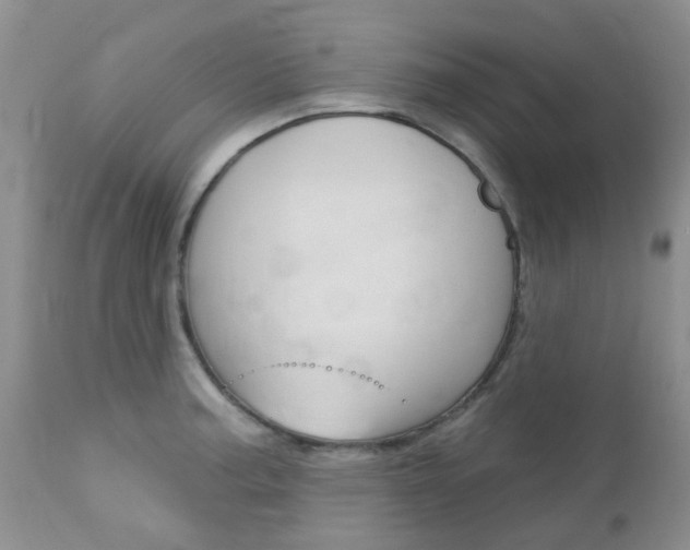 X0000113121187200908281035