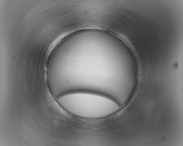 X0000113121188200908281035