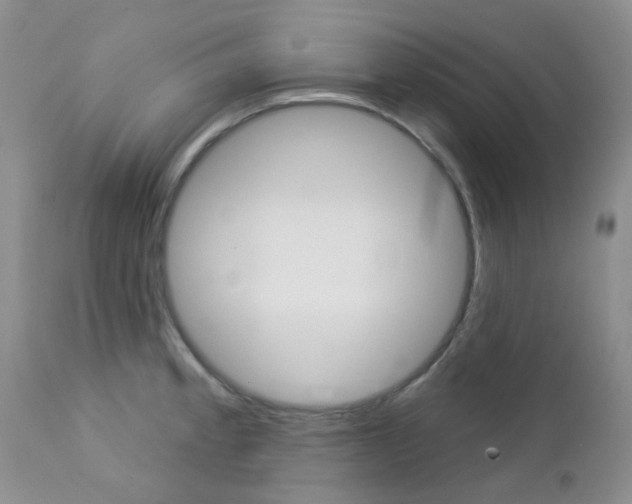 X0000113121189200908281035