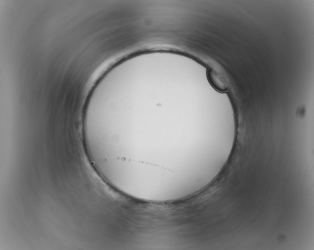 X0000113121191200908281035