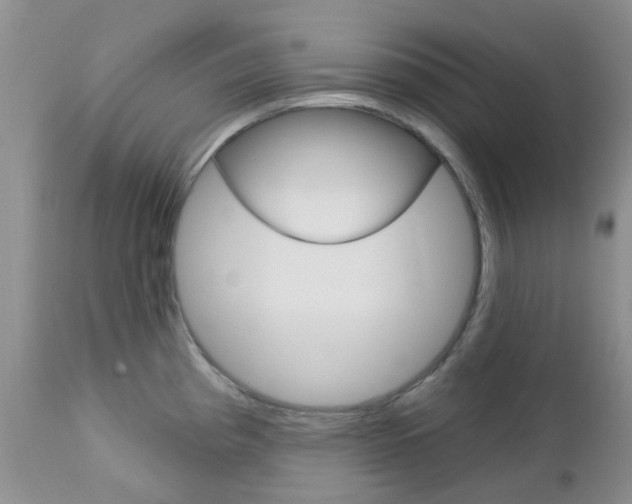 X0000113121193200908281035