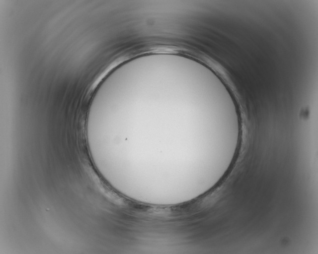 X0000113121194200908281035