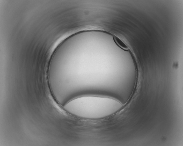 X0000113121197200908281035