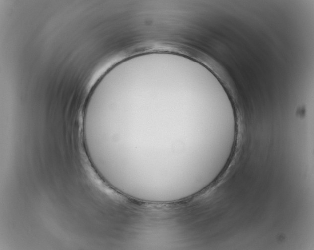 X0000113121198200908281035