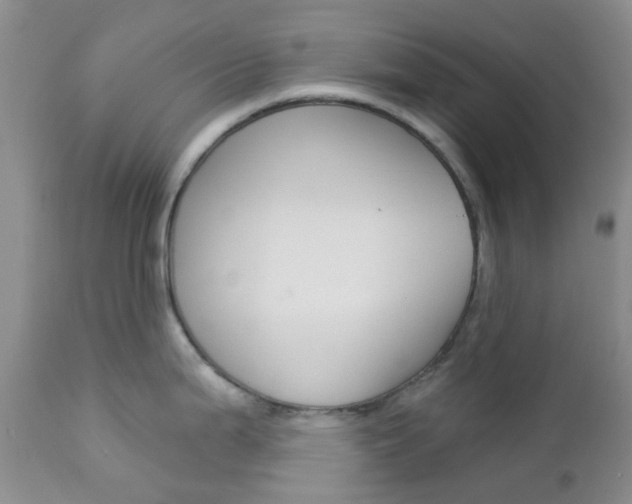 X0000113121199200908281035