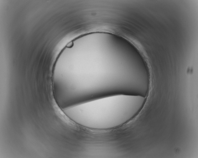 X0000113121200200908281035