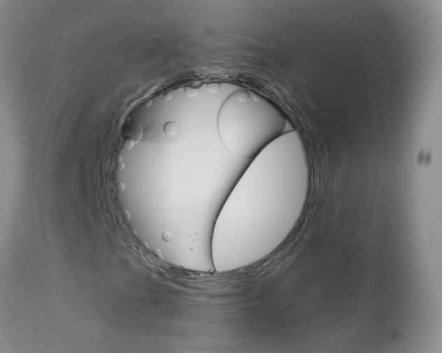 X0000113121201200908281034