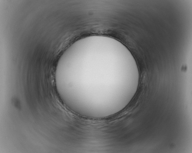 X0000113121202200908281034