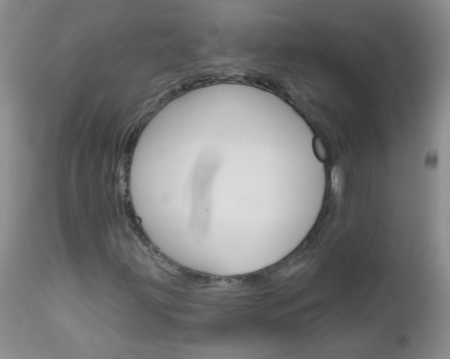 X0000113121203200908281034