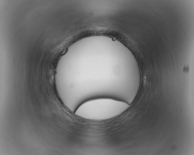 X0000113121204200908281034