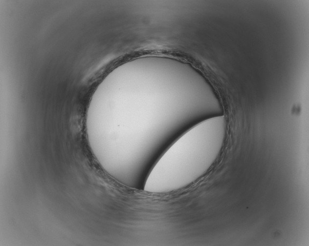 X0000113121206200908281034