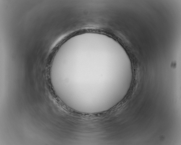 X0000113121208200908281034