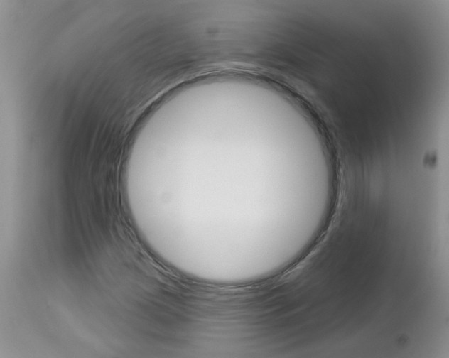 X0000113121209200908281034