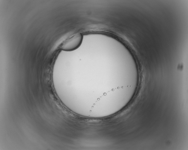 X0000113121211200908281034
