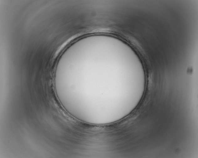 X0000113121212200908281034