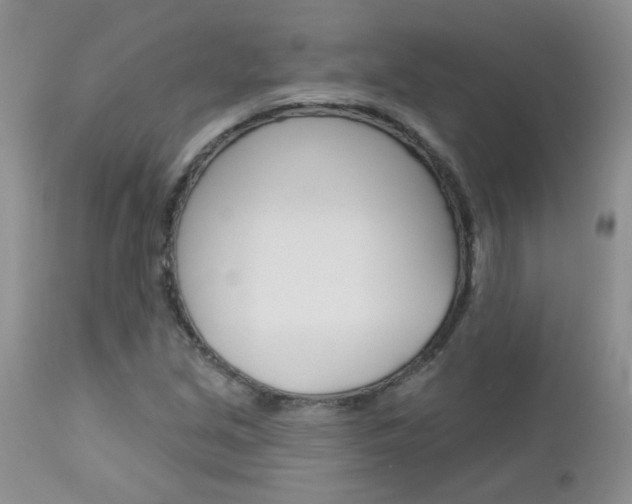 X0000113121213200908281034
