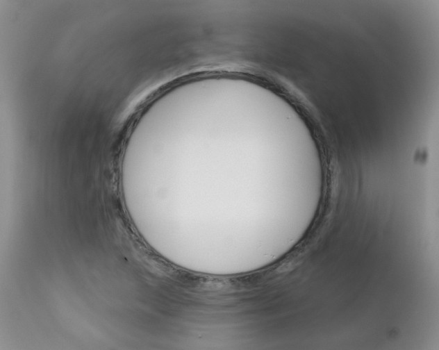 X0000113121215200908281034
