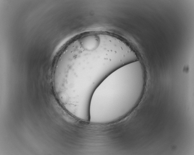 X0000113121216200908281034