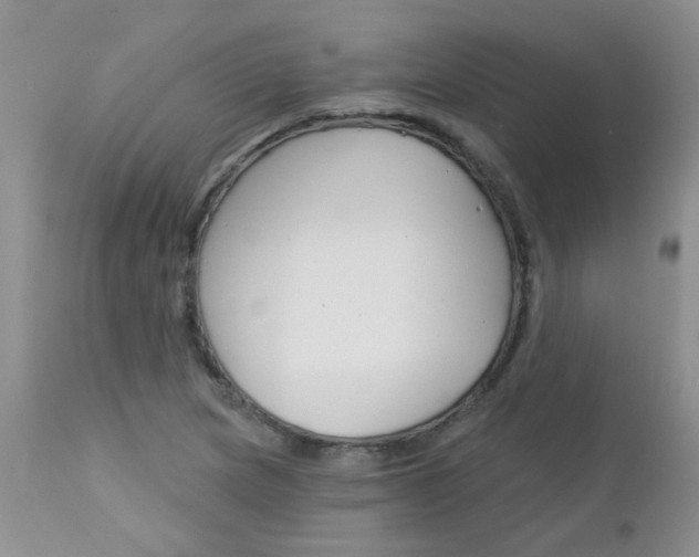 X0000113121217200908281034