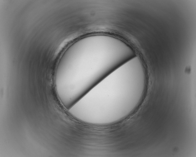 X0000113121218200908281034