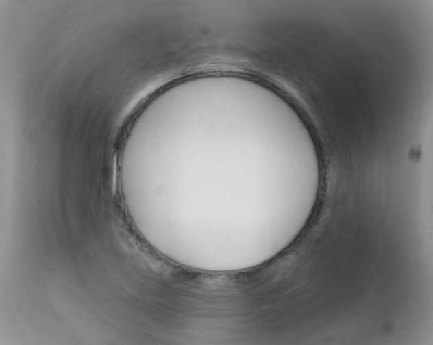 X0000113121219200908281034