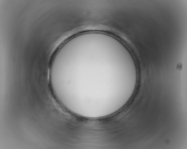 X0000113121221200908281034