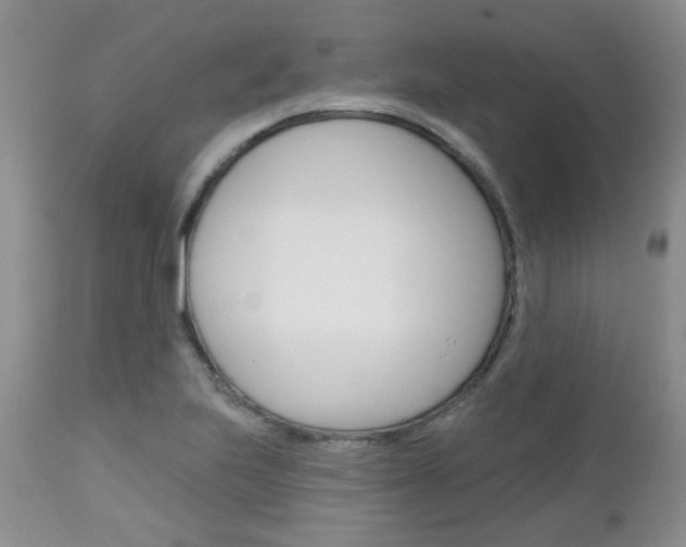 X0000113121223200908281034