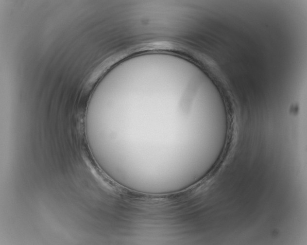 X0000113121225200908281034