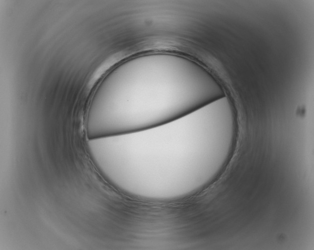 X0000113121226200908281034