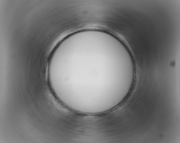 X0000113121227200908281034