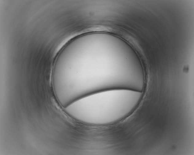 X0000113121228200908281034