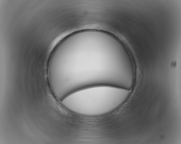 X0000113121230200908281034
