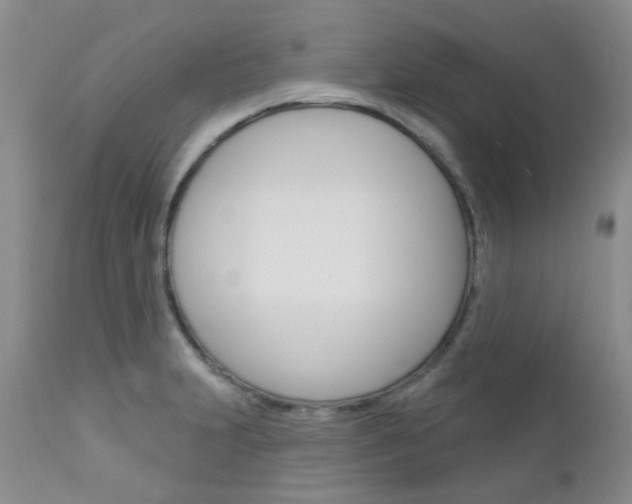 X0000113121231200908281034