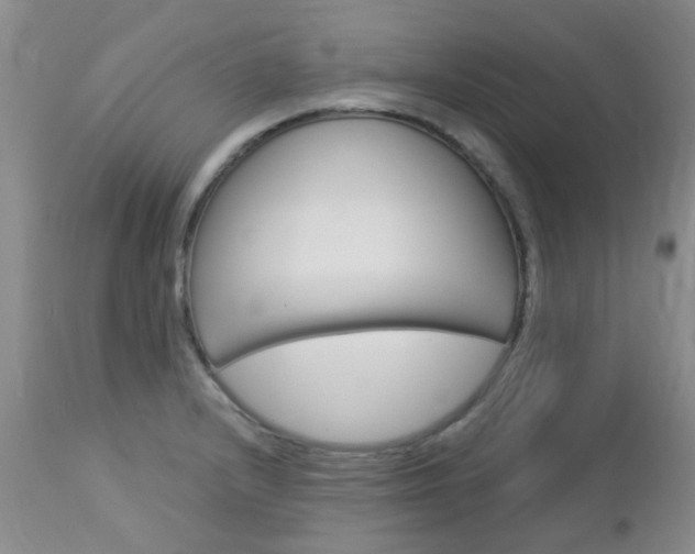 X0000113121232200908281034