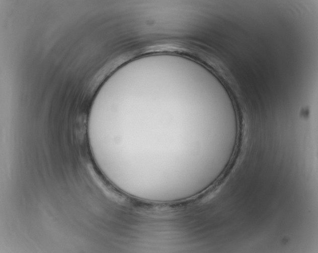 X0000113121233200908281034